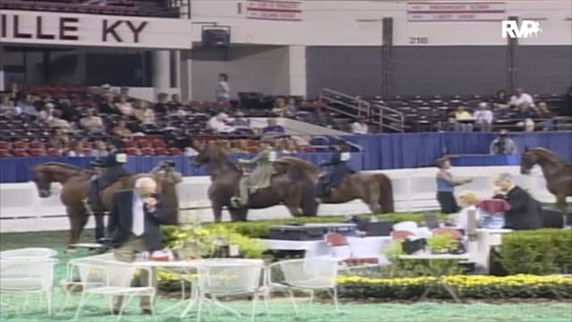 2006 WCHS Class 119 Equitation Open W...