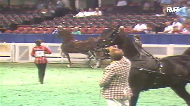 1992 WCHS Class 105 Amateur Fine Harness