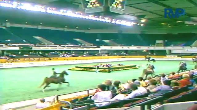 1987 WCHS Class 40 Equitation Open 12...