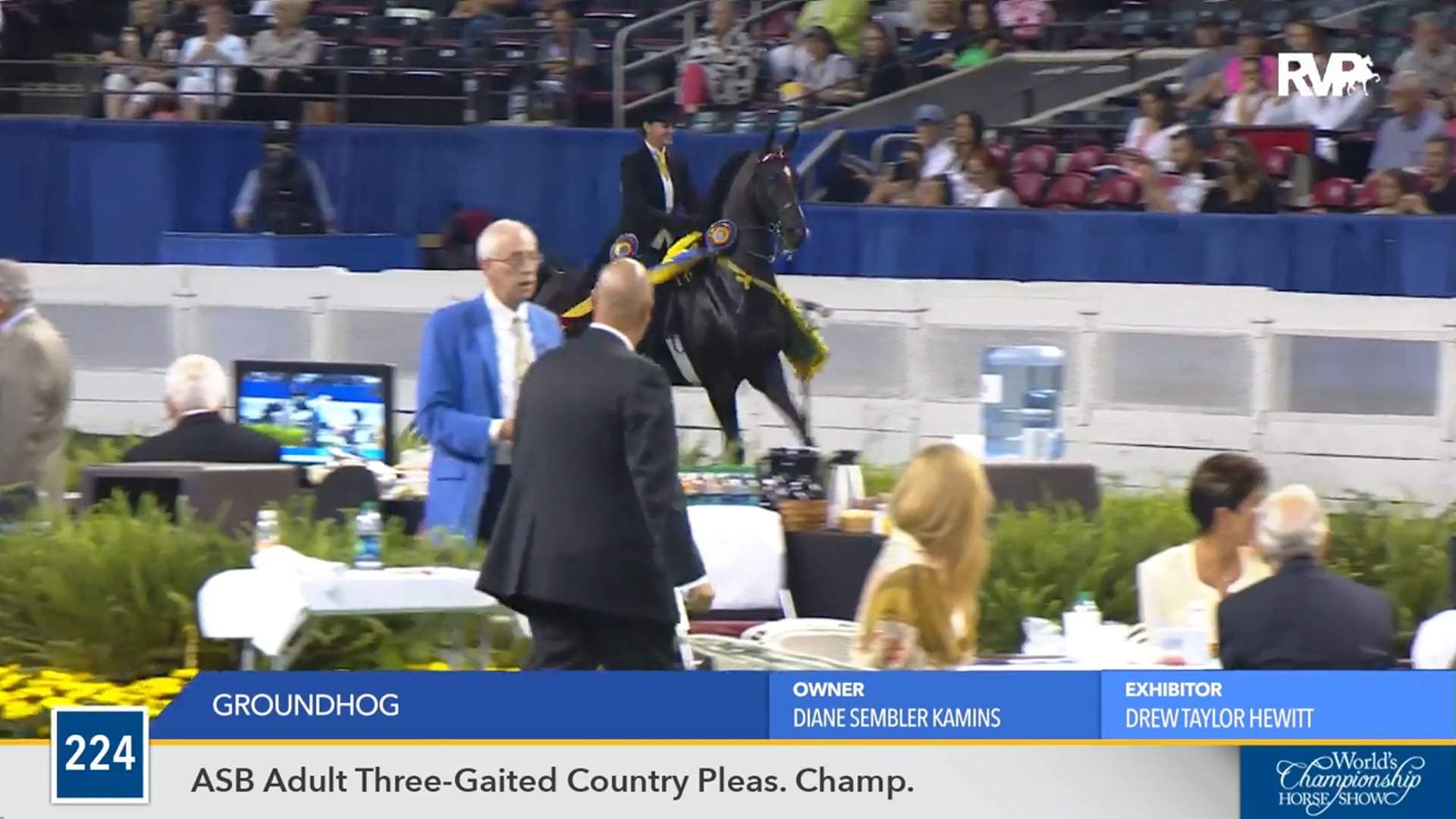 WCHS16 - Groundhog - Championship