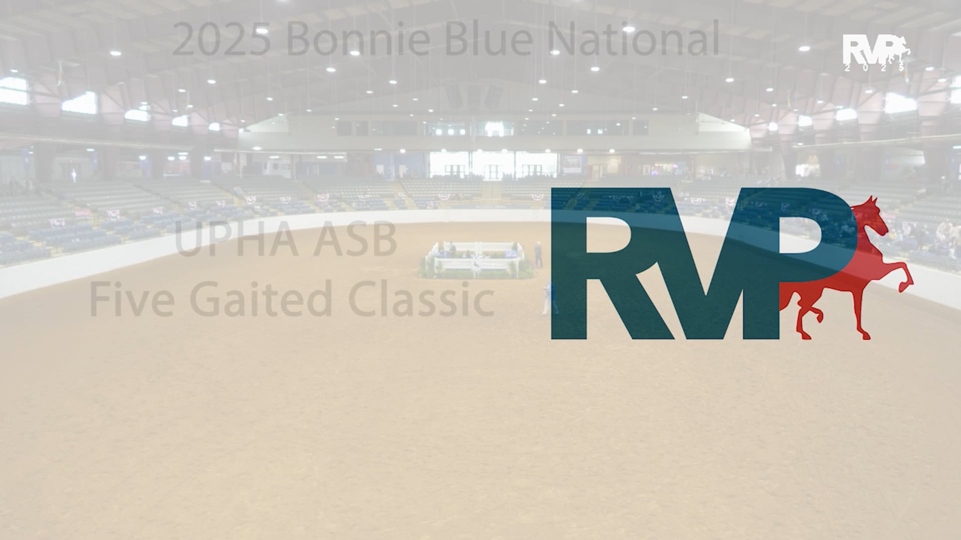 BB25 - Class 83 - UPHA ASB  Five Gaited Classic