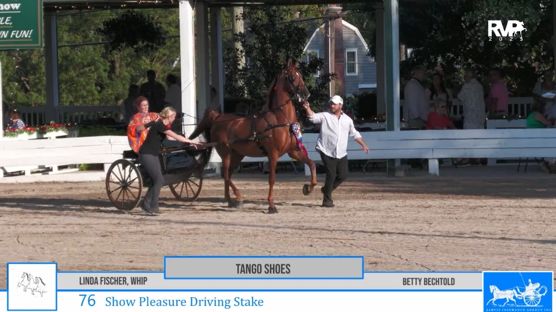 SSC25 - Class 76 - Tango Shoes and Linda Fisher, Whip