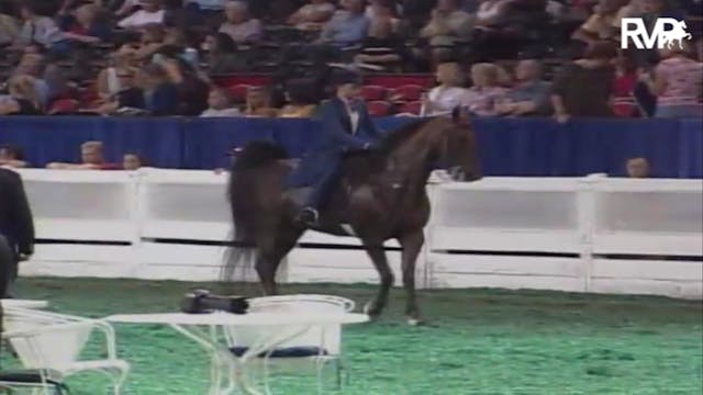 2007 WCHS Class 24 Five Gaited Pony R...