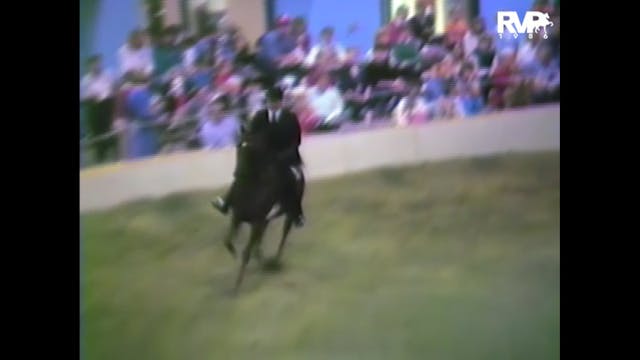 1986 St. Louis National Charity Horse...