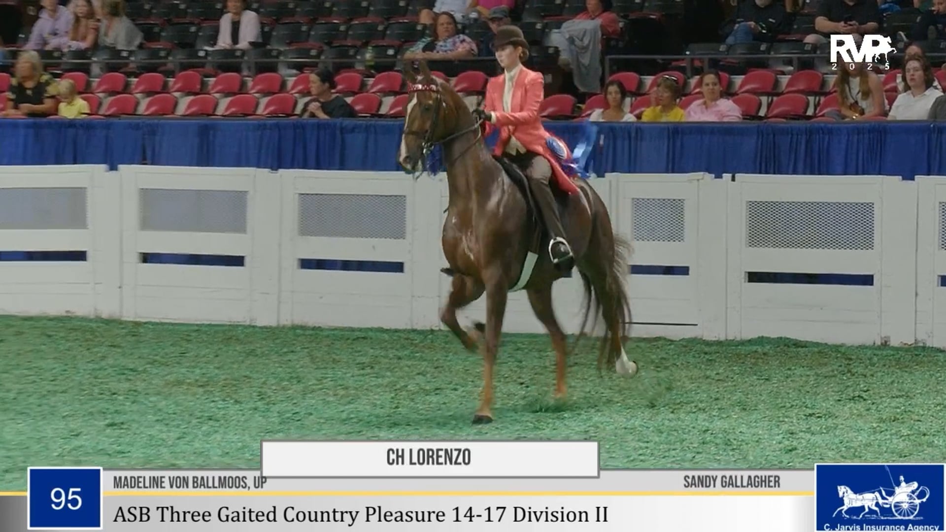 WCHS25 - Class 95 - CH Lorenzo and Madeline Von Ballmoos, Up