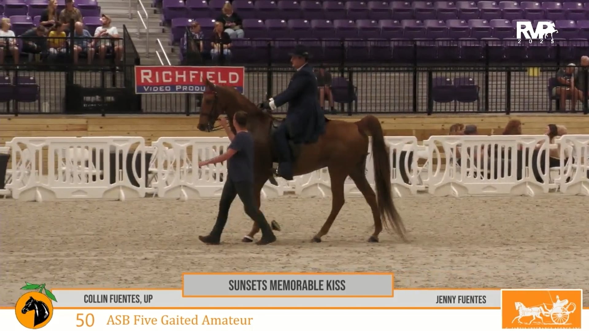CC25 - Class 50 - ASB Five Gaited Amateur