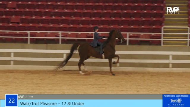 ASW21 - Class 22 - Walk Trot Pleasure...