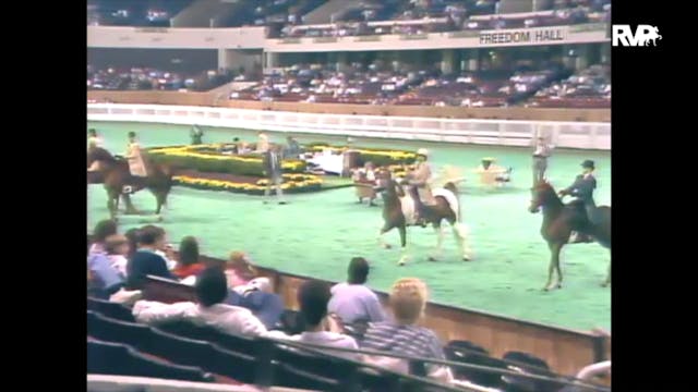 1989 WCHS Class 22 Three Gaited Pleas...