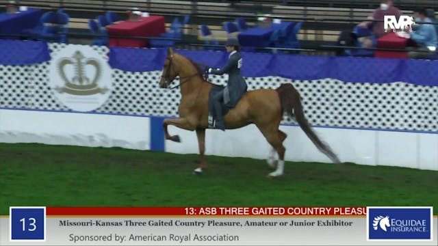 2020 AR - Class 13 MO:KS Three Gaited...