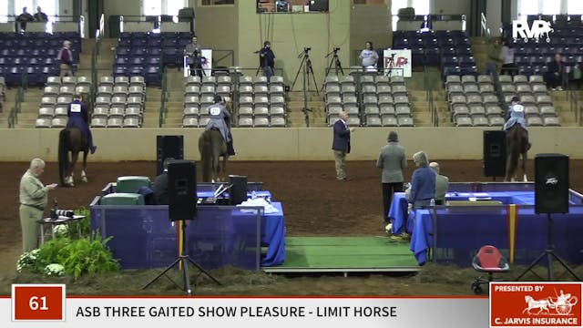 2020 SSFF - Class 61 ASB Three Gaited...