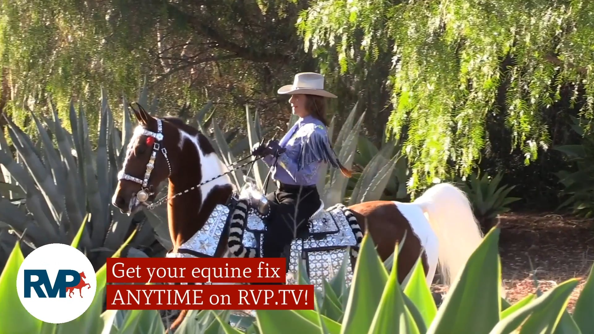 SS21 - Class 198 - Kendyl Martin, up