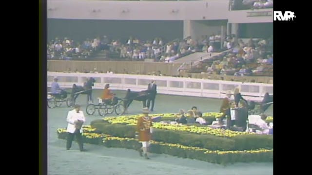 1988 WCHS Class 71 Harness Pony Stall...