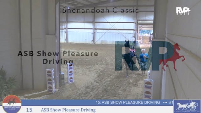 SC24 - Class 15 - ASB Show Pleasure D...