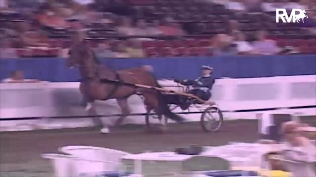 2003 WCHS Class 128 Ladies' Amateur R...