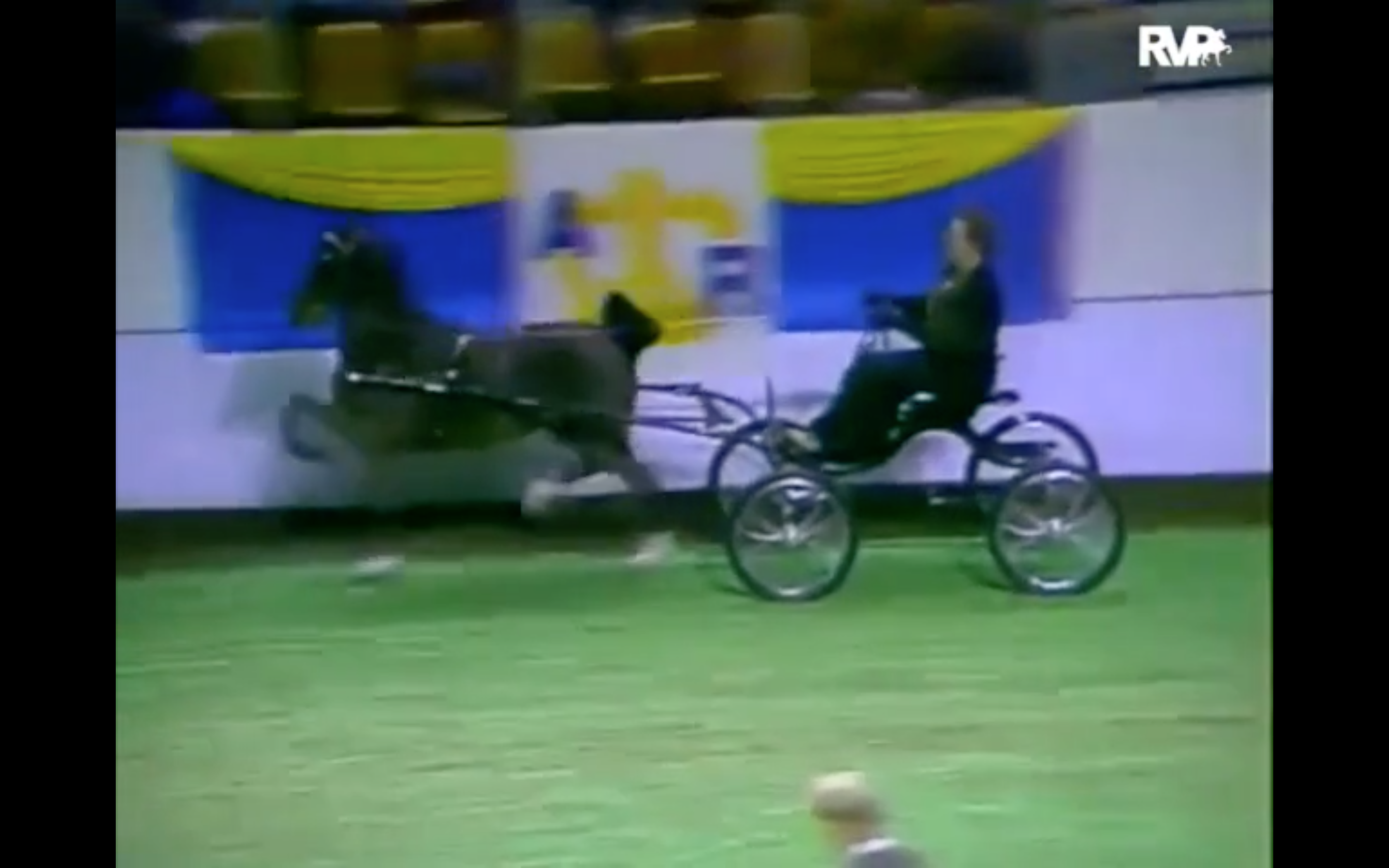 Looking back at Stake Night at The American Royal of 1995