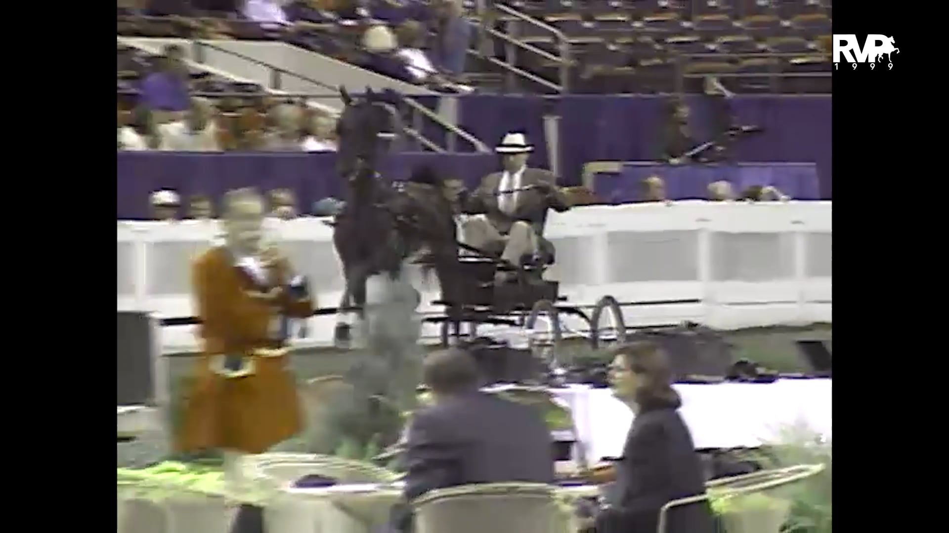 1999 WCHS - Class 200 Two Year Old Fine Harness Stallion-Gelding Stake