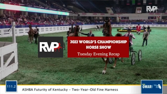 2022 World's Championship Horse Show - Wednesday Evening - 24 August 2022 