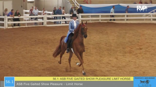 BR21 - Class 56.1 - ASB Five Gaited S...