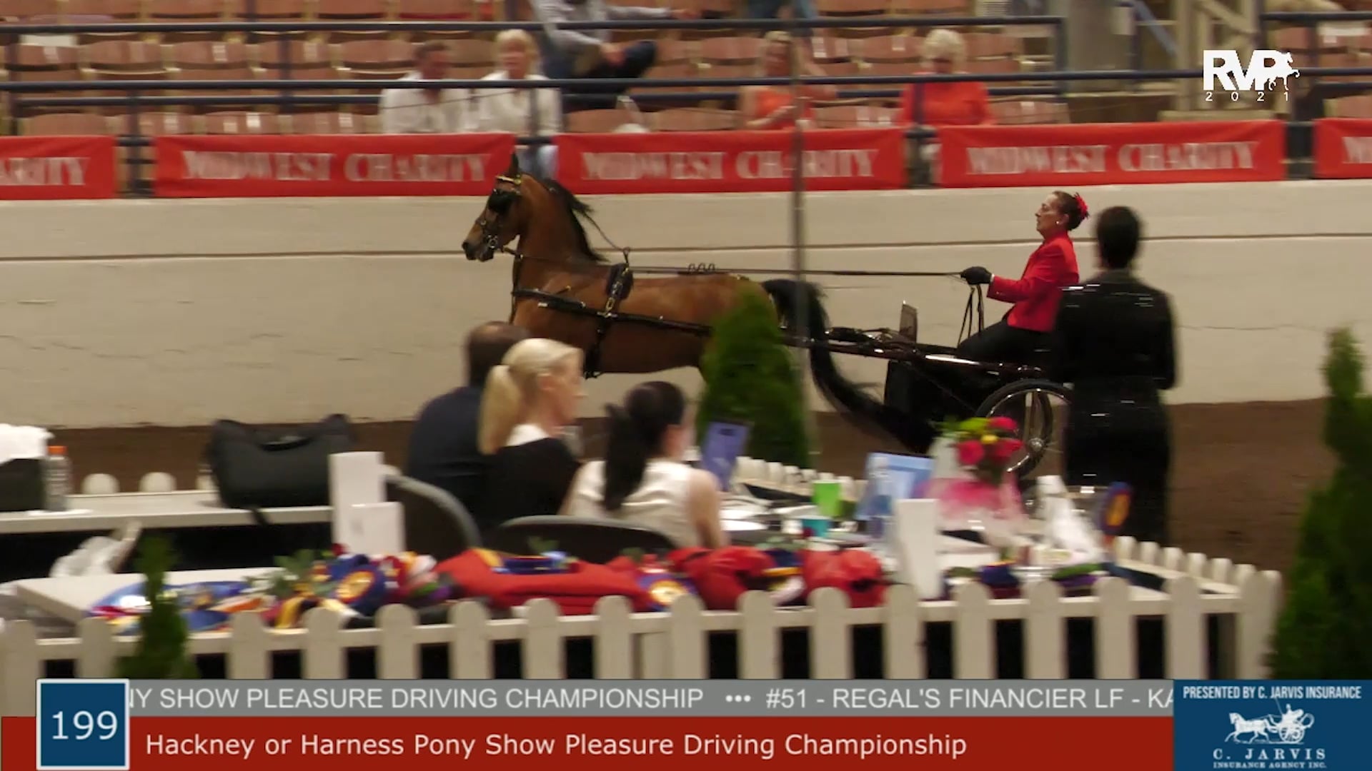 MW21 - Class 199 - Hackney or Harness Pony Show Pleasure Driving Championship