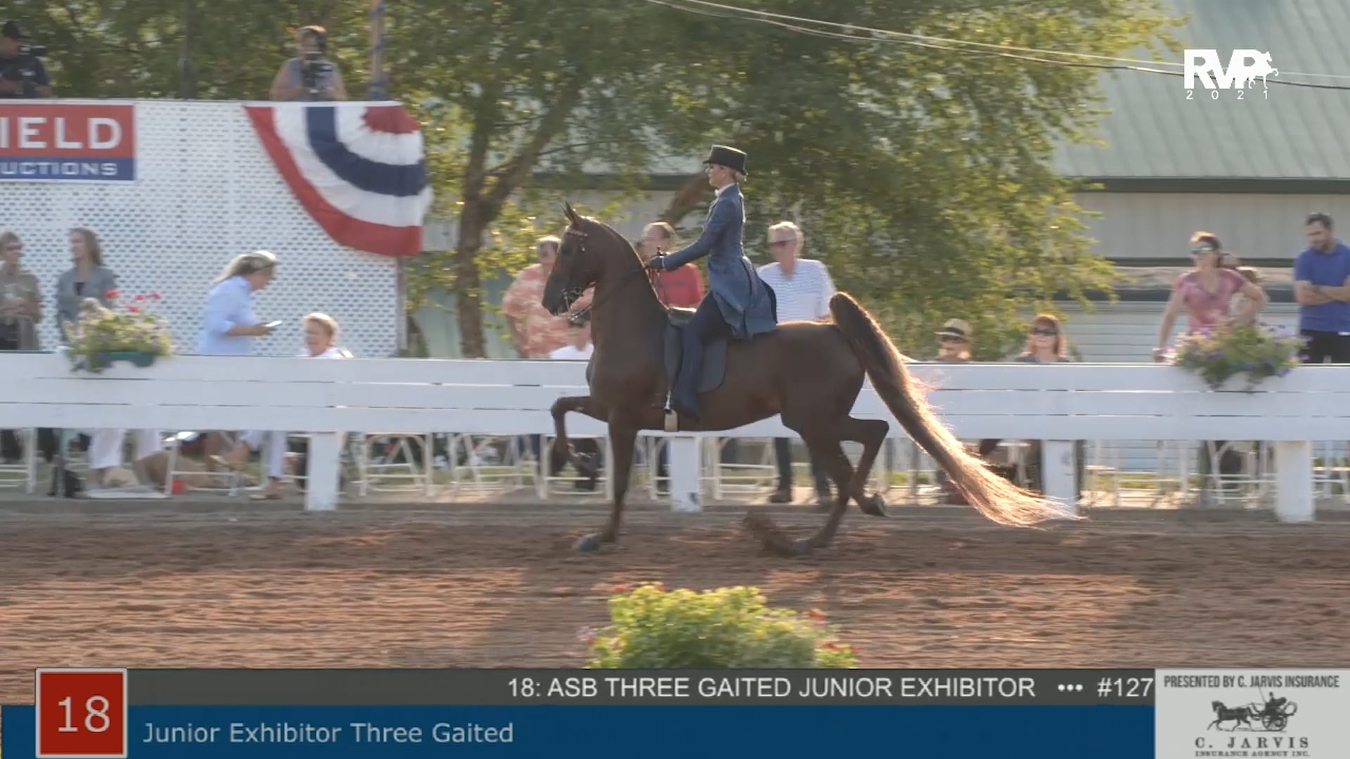 SHS21 - Class 18 -  Junior Exhibitor Three Gaited