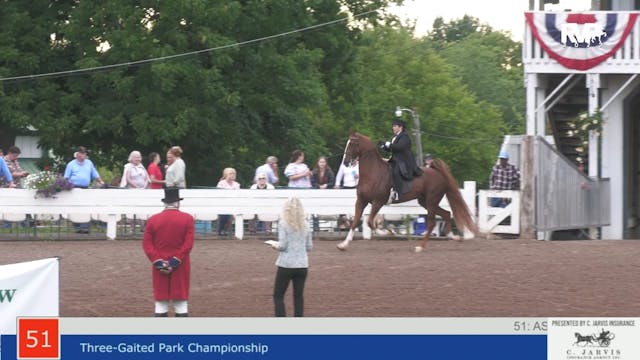 SHS22 - Class 51 -  Three Gaited Park...