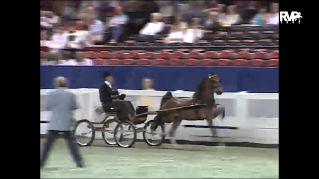 1998 WCHS - Class 118 Harness Pony Ma...