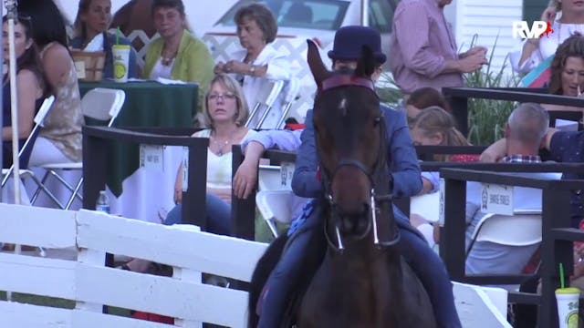 RC15 - Class 55 - Walk:Trot Pleasure ...