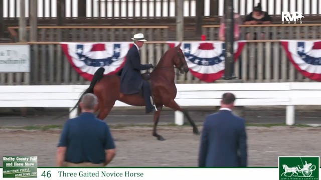SCF25 - Class 46 - ASB Three Gaited L...