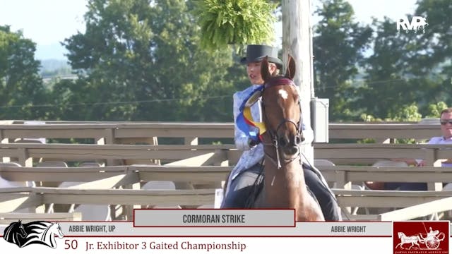 MCF25 - Class 50 - Cormoran Strike an...