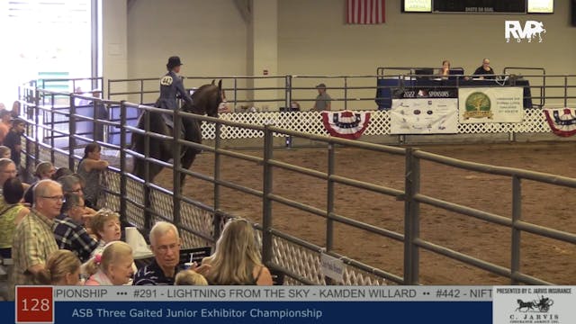 AAC22 - Class 128 -  ASB Three Gaited...