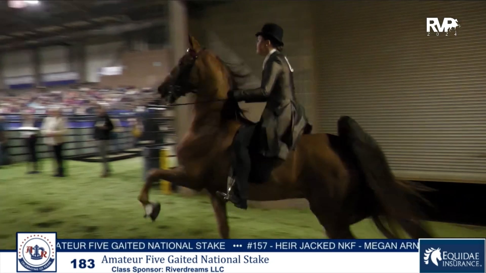 AR24 - Class 183 - Amateur Five Gaited National Stake