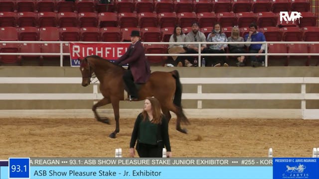 ASW21 - Class 93.1 - ASB Junior Exhib...
