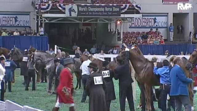 2010 World's Championship Horse Show ...