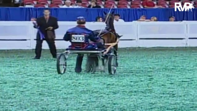 2009 World's Championship Horse Show ...