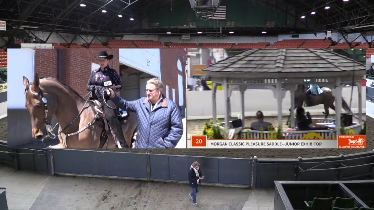 UPHA14-19 - Class 19 - Gulfwind To The Max GCH