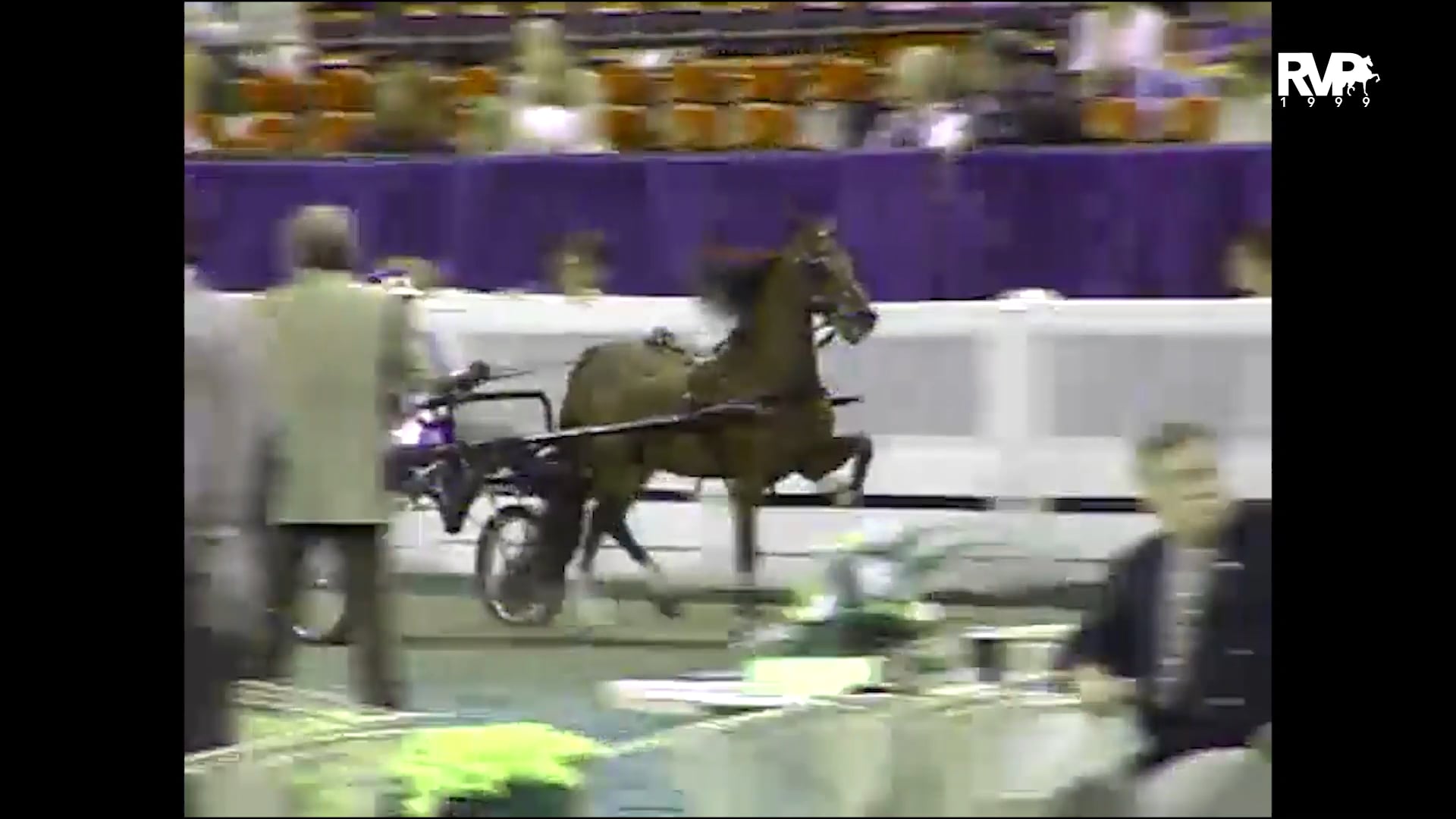 1999 WCHS - Class 135 Junior Exhibitor Roadster Pony 13 & Under