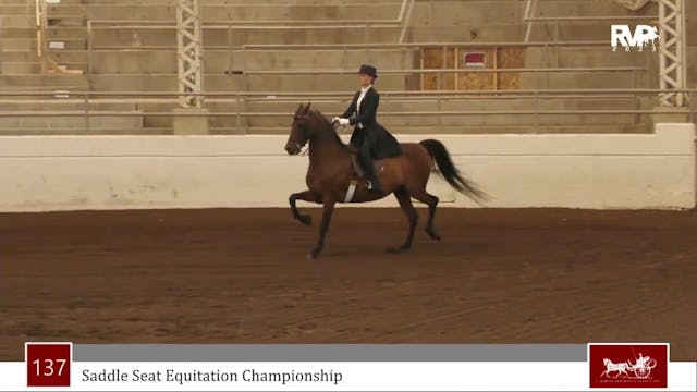 MJ23 - Class 137 - Saddle Seat Equita...