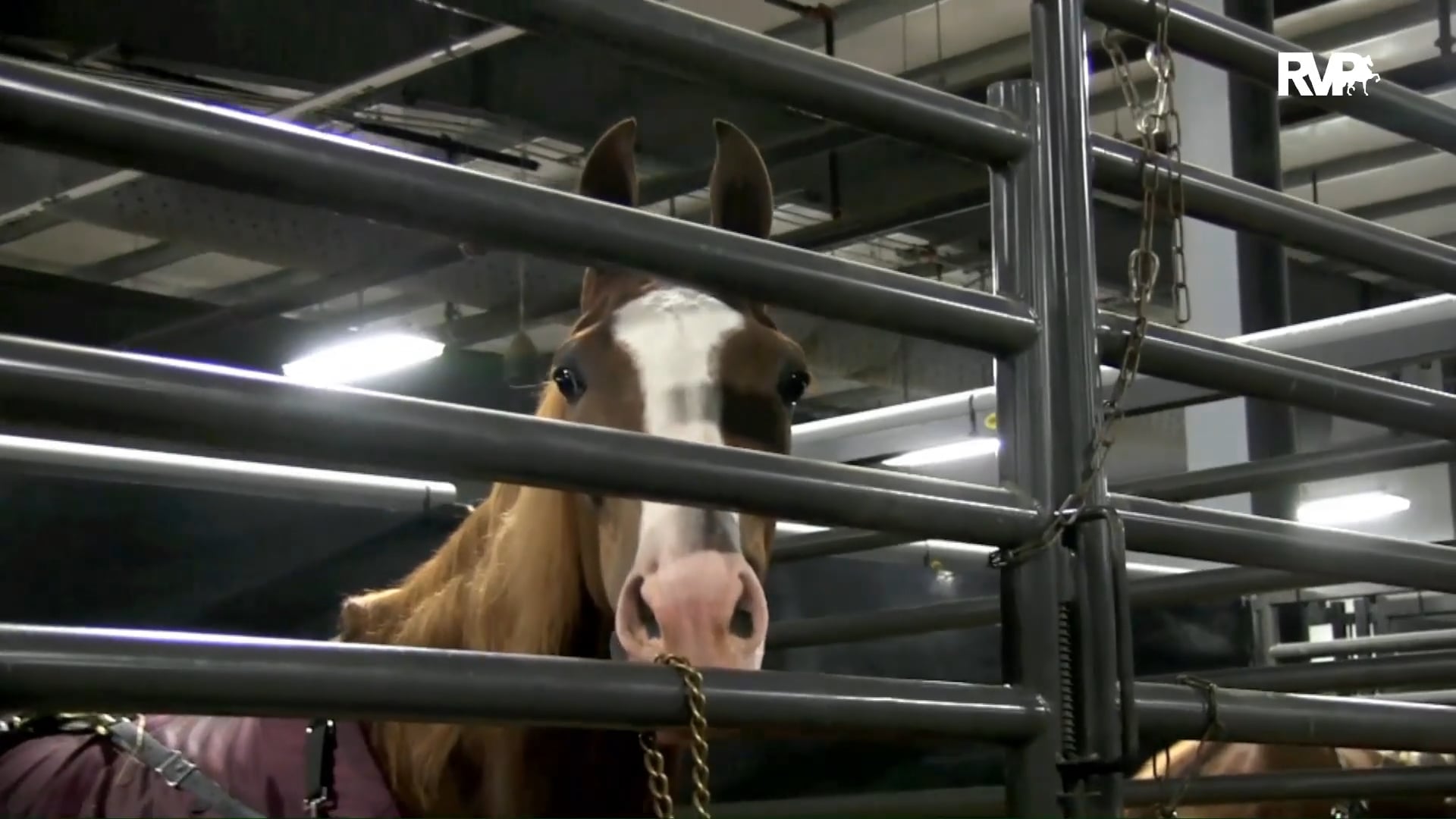 2018 Madison Classic Thursday Evening