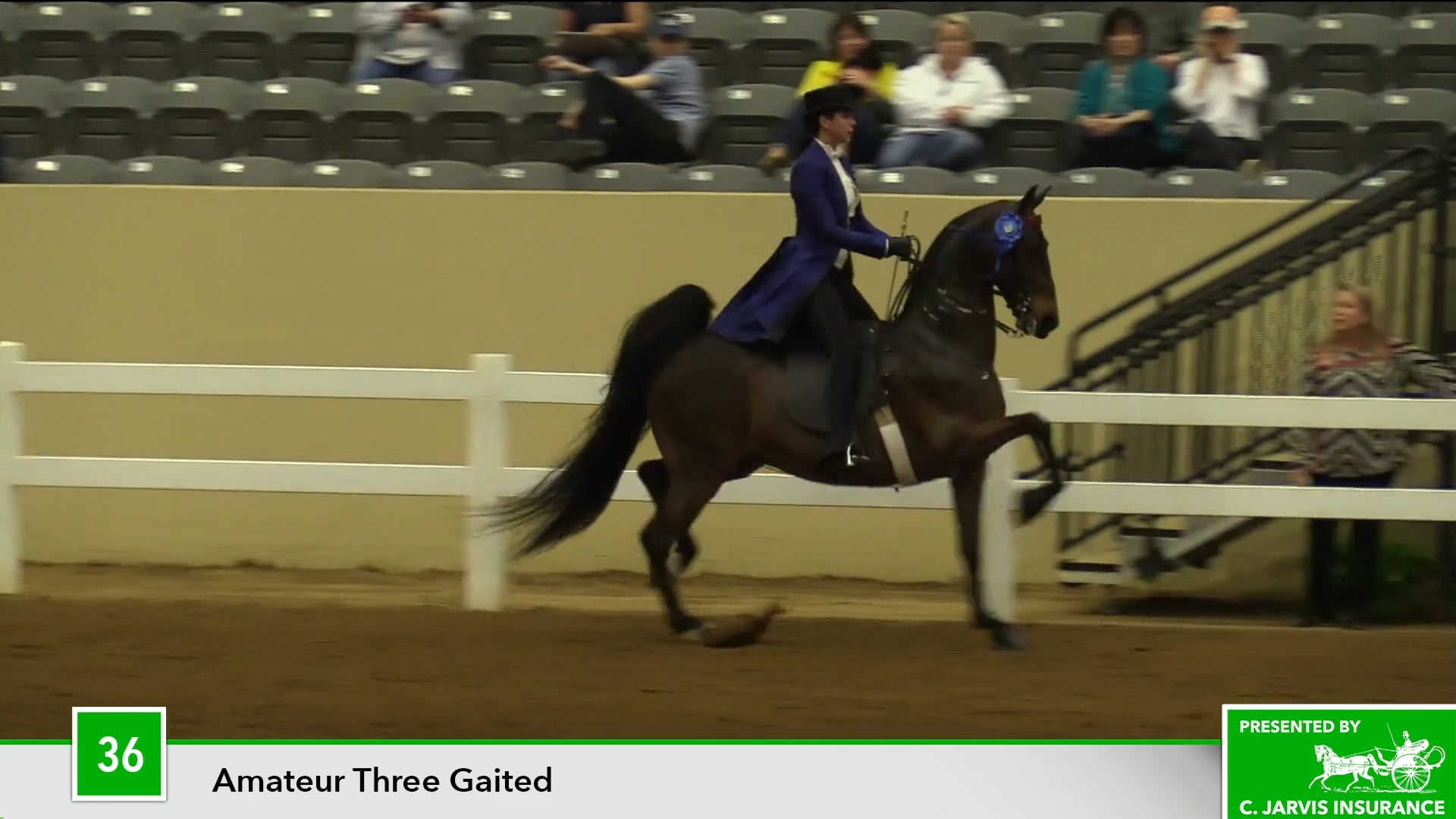 KYSP18 - Class 36 - CH Platinum Moon