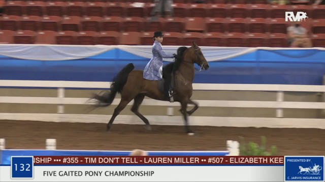 BR20 - Class 132 Five Gaited Pony Cha...