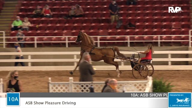 2020 ASF - Class 10A ASB Show Pleasur...