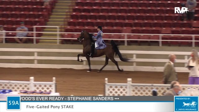 2020 ASF - Class 59A Five Gaited Pony...