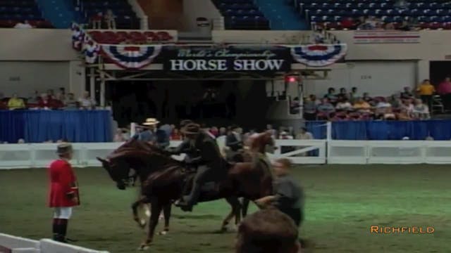 2002 WCHS Class 56 Five Gaited Stalli...