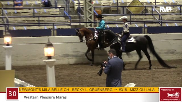 2020 JMHS - Class 30 Western Pleasure...