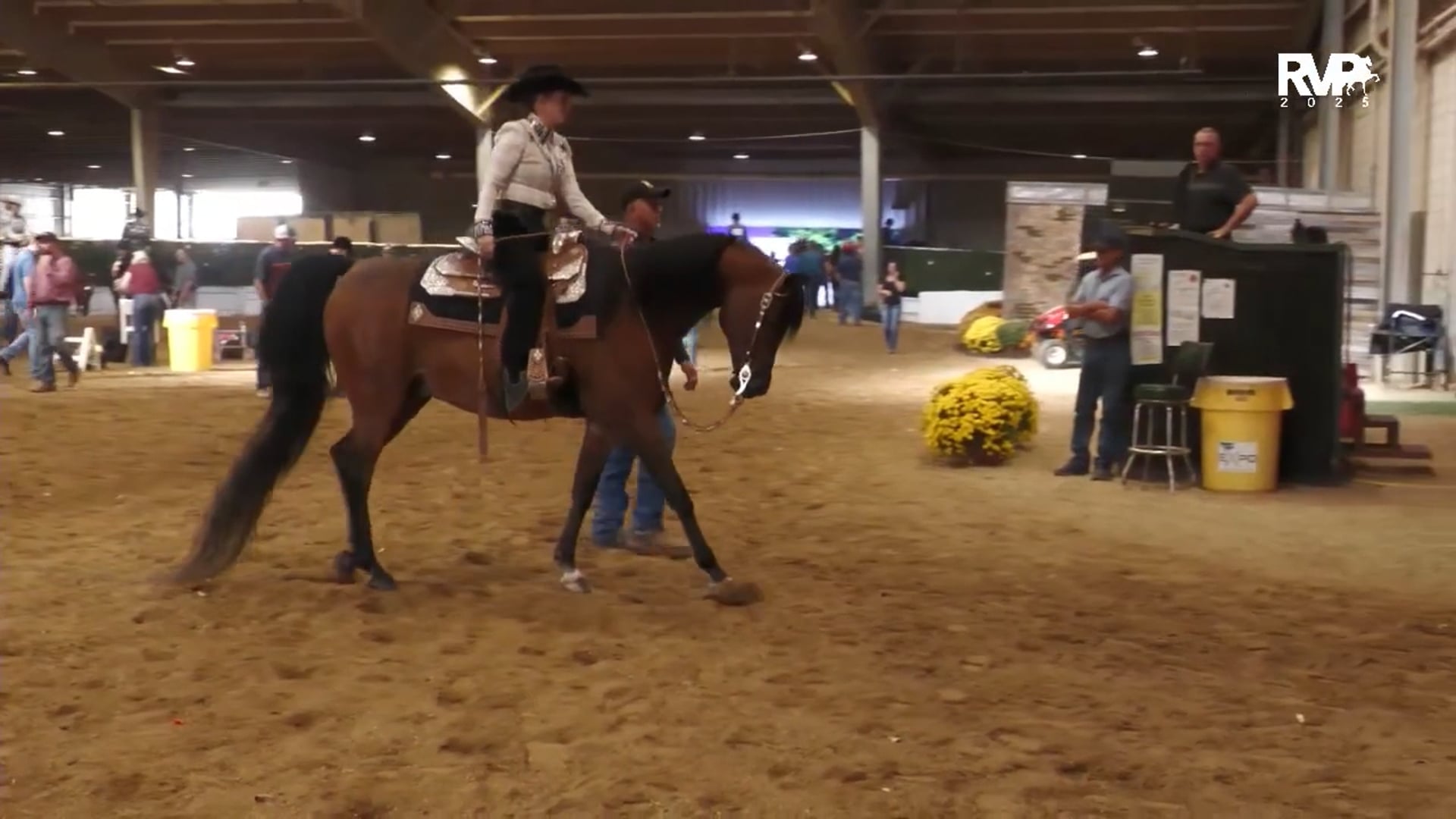 AN25 - Class 1166b - Arabian Western Pleasure AATR Select CH - Section B