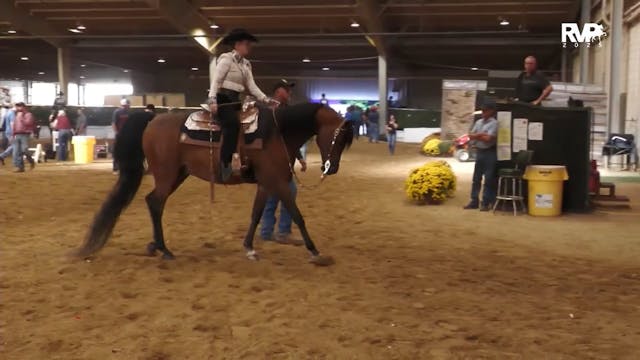 AN25 - Class 1166b - Arabian Western ...