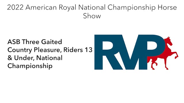 AR22 - Class 140 - ASB Three Gaited C...