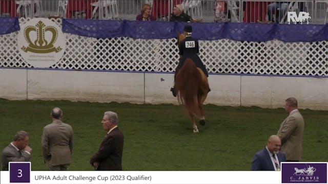AR22 - Class 3 - UPHA Adult Challenge...
