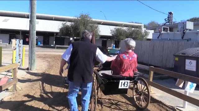GASP17 - Bluebonnet's Rising Star - C...