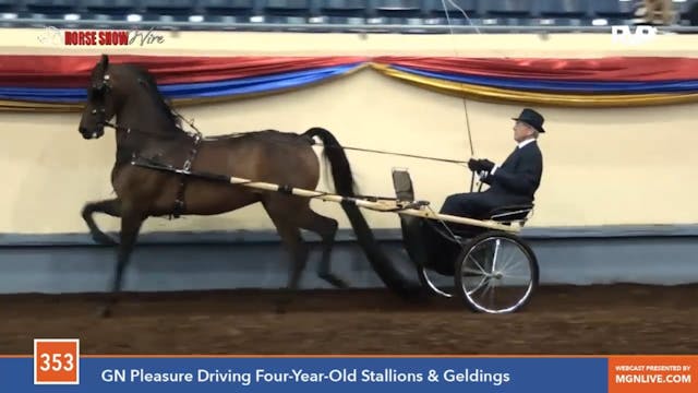MGN15 - Performance Arena 10-13-15 9-...